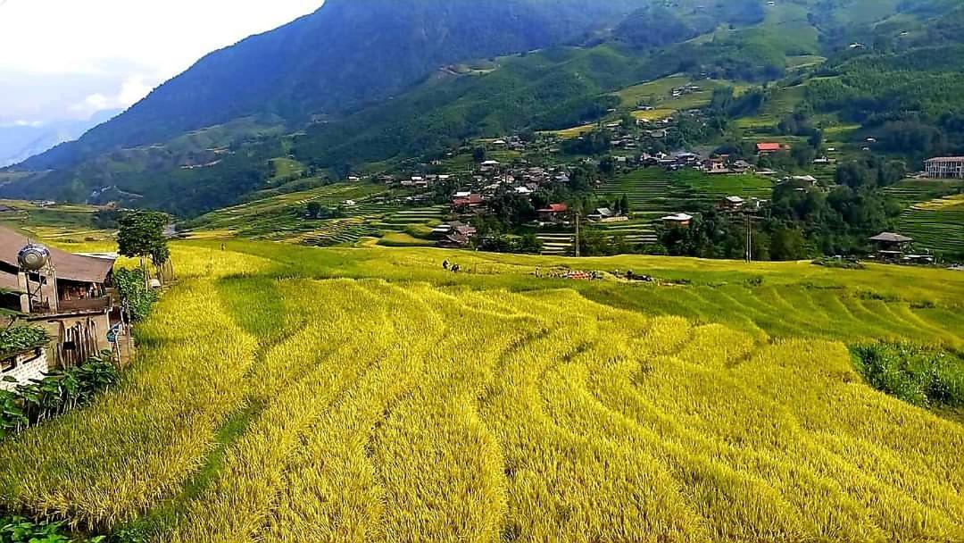 Tavan Dragon House Lao Cai Esterno foto